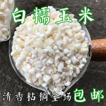 白粘玉米碴5斤干糯玉米碎白粘玉米粒东北大碴子白糯玉米碴包
