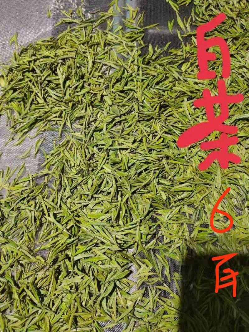 白茶，龙井茶