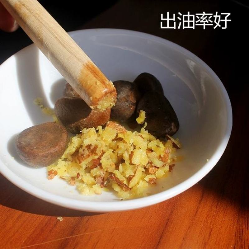 热销赣南江西上犹茶籽仁油茶籽榨油原料山茶子果茶油仁带壳