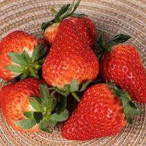 【-3斤草莓】热销3斤6斤丹东99草莓
