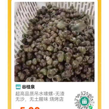 淡水河蚌