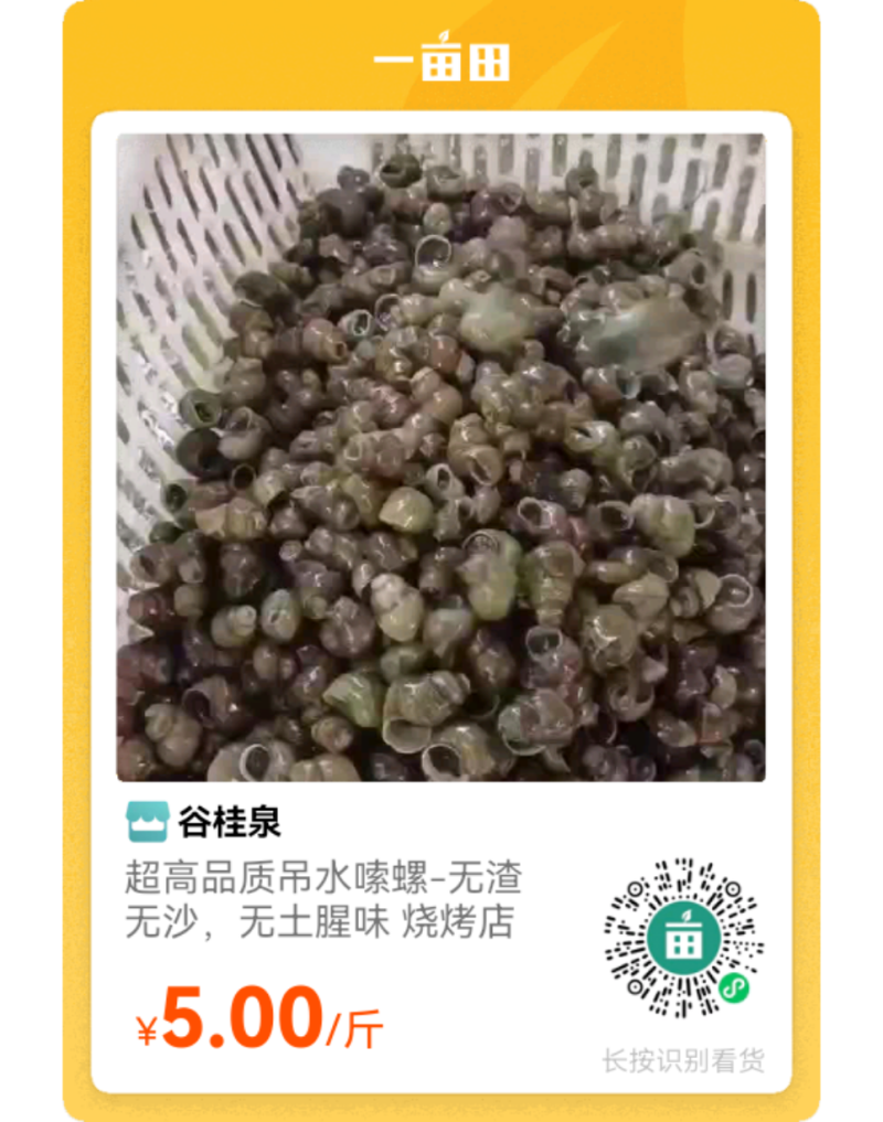 淡水河蚌