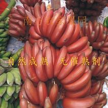 【-9斤红皮香蕉】热销9斤美人蕉红皮香蕉