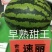 速丽甜王种子大型含糖量高易坐果抗病抗裂产量高耐低温