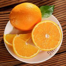 【-10斤赣南脐橙】热销一件10斤赣南脐橙橙子