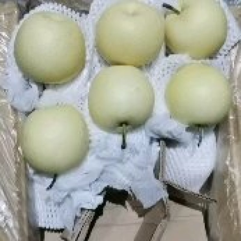 皇冠梨，正宗高质量，高品质，价位合理交友诚信良心经营