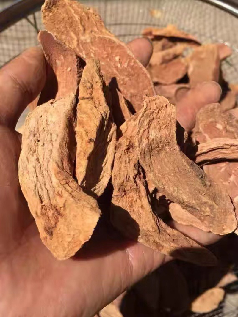 锁阳片去皮甘肃酒泉沙漠人参精品泡茶煲汤炖肉
