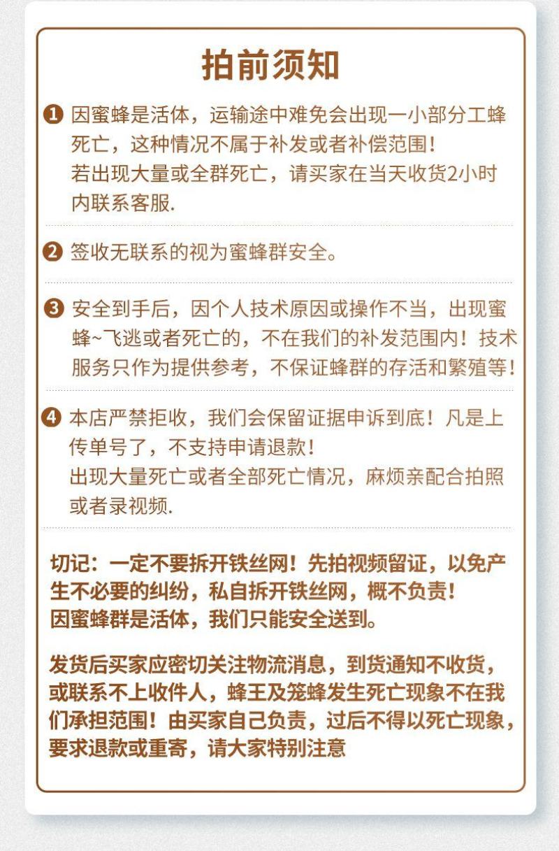 出售优质良种高产中蜂蜂群广西蜜蜂蜂群中华土蜂强群活体笼蜂