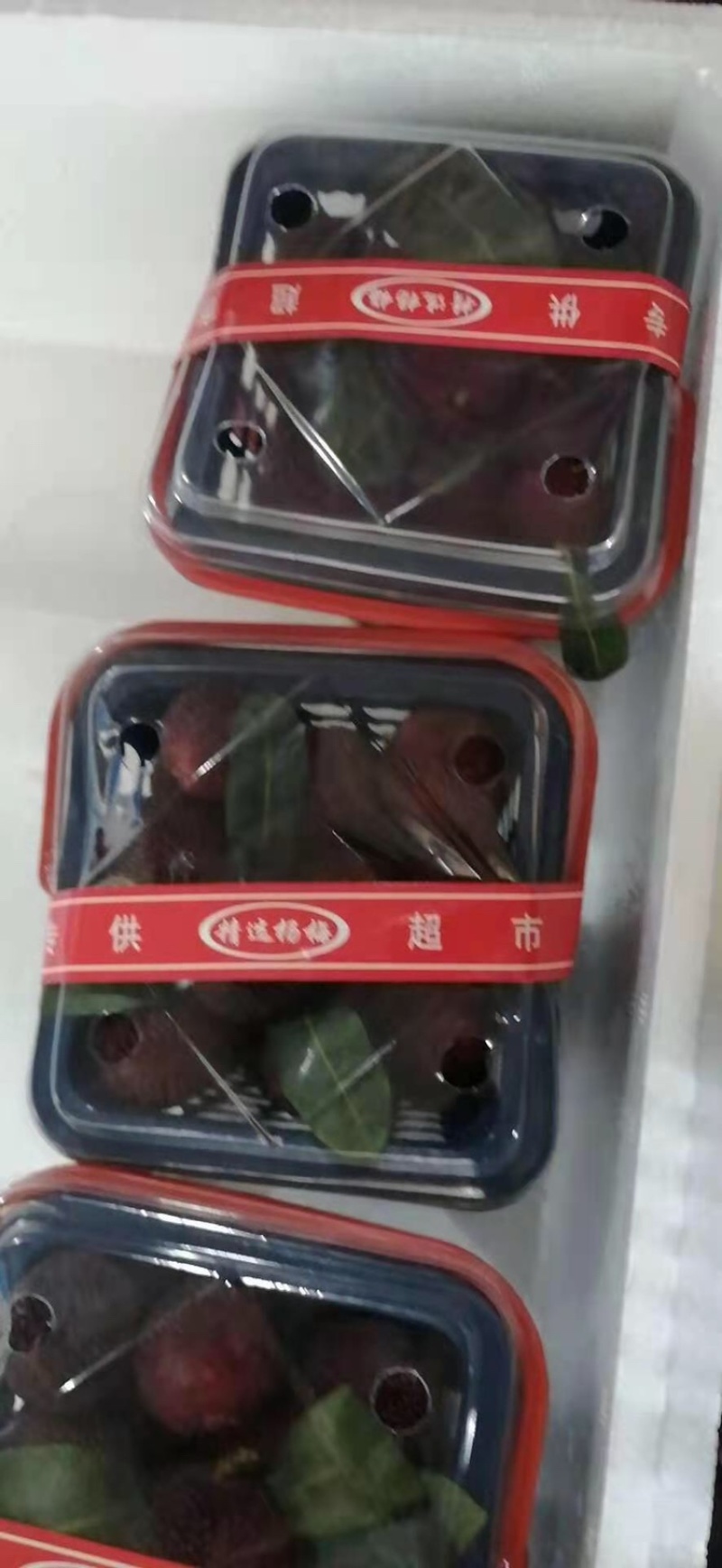 云南高山杨梅上市了，需要的老板可以下单了：可提供工厂货