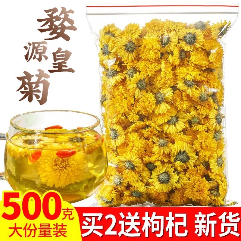 胎菊，婺源黄菊去花