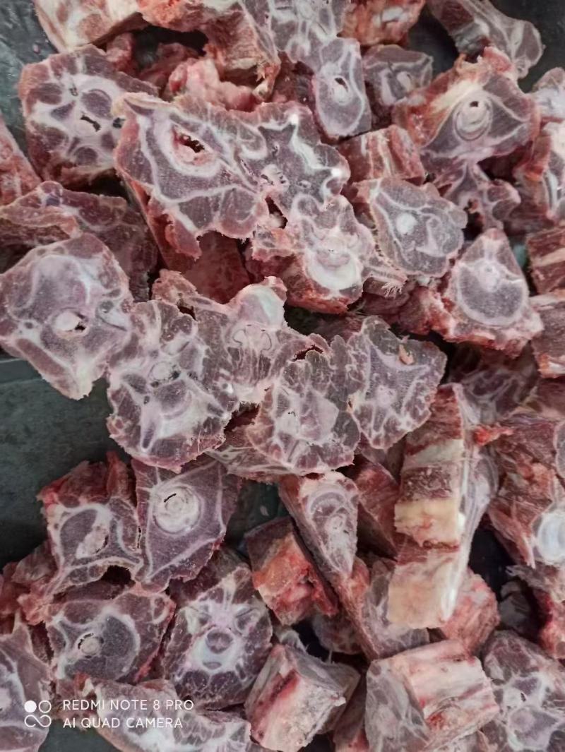 【大羊肉龙骨】绵羊的龙骨，新鲜速冻箱装！常年有货量大优惠