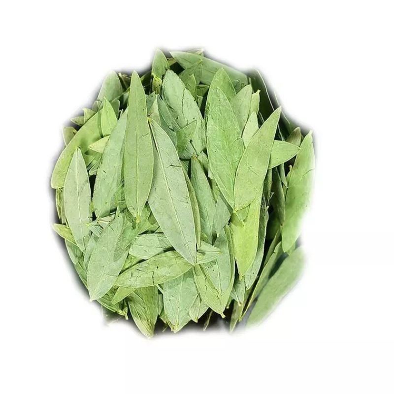 番泻叶泄叶统货选货规格齐全草药中药材