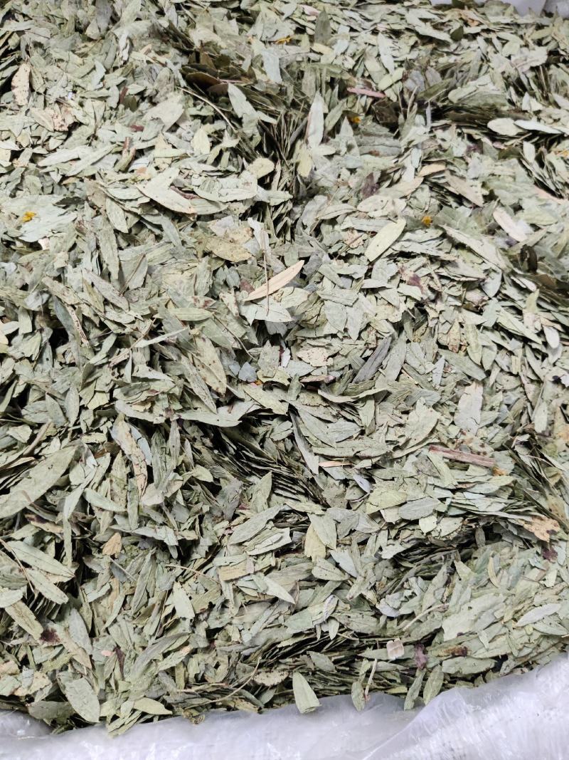 番泻叶泄叶统货选货规格齐全草药中药材