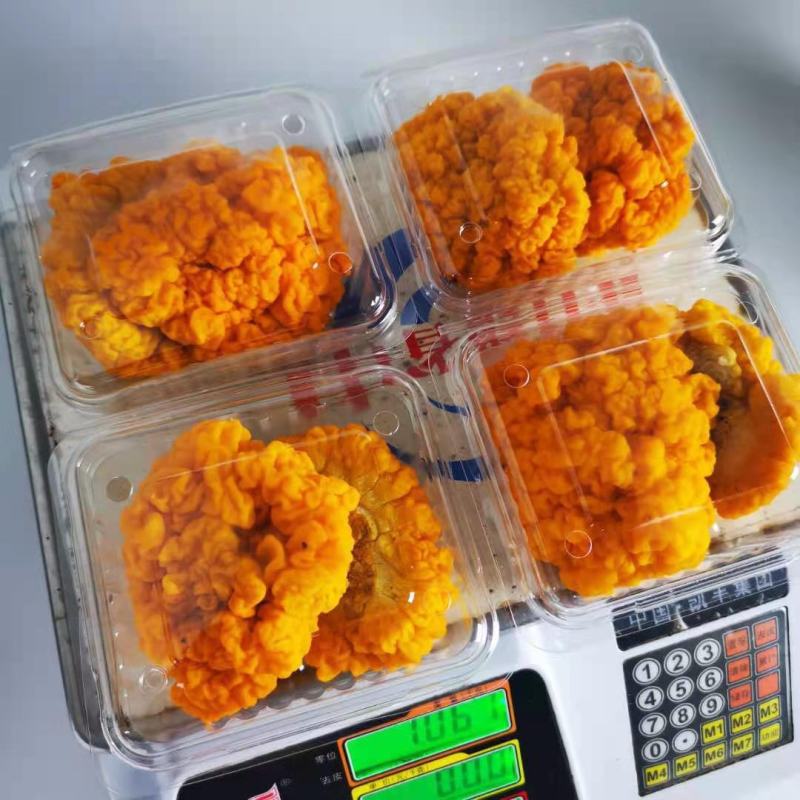 顺丰包邮【新鲜金耳】黄金耳，现摘现发，顺丰德邦随机发