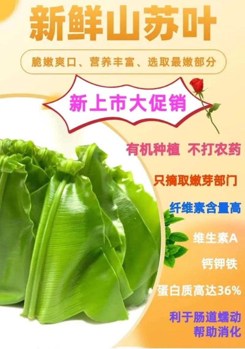 山苏菜
