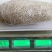 云南野生小挂蜜整个带巢带树枝包装发货500g包邮