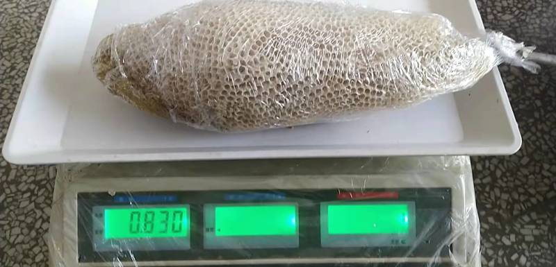 云南野生小挂蜜整个带巢带树枝包装发货500g包邮