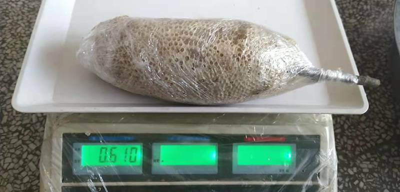 云南野生小挂蜜整个带巢带树枝包装发货500g包邮