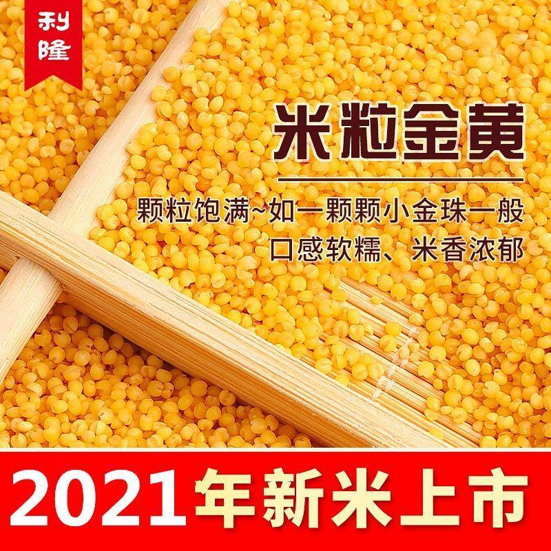 2021年新米农家黄小米5斤内蒙赤峰小米天山大金苗糯批发