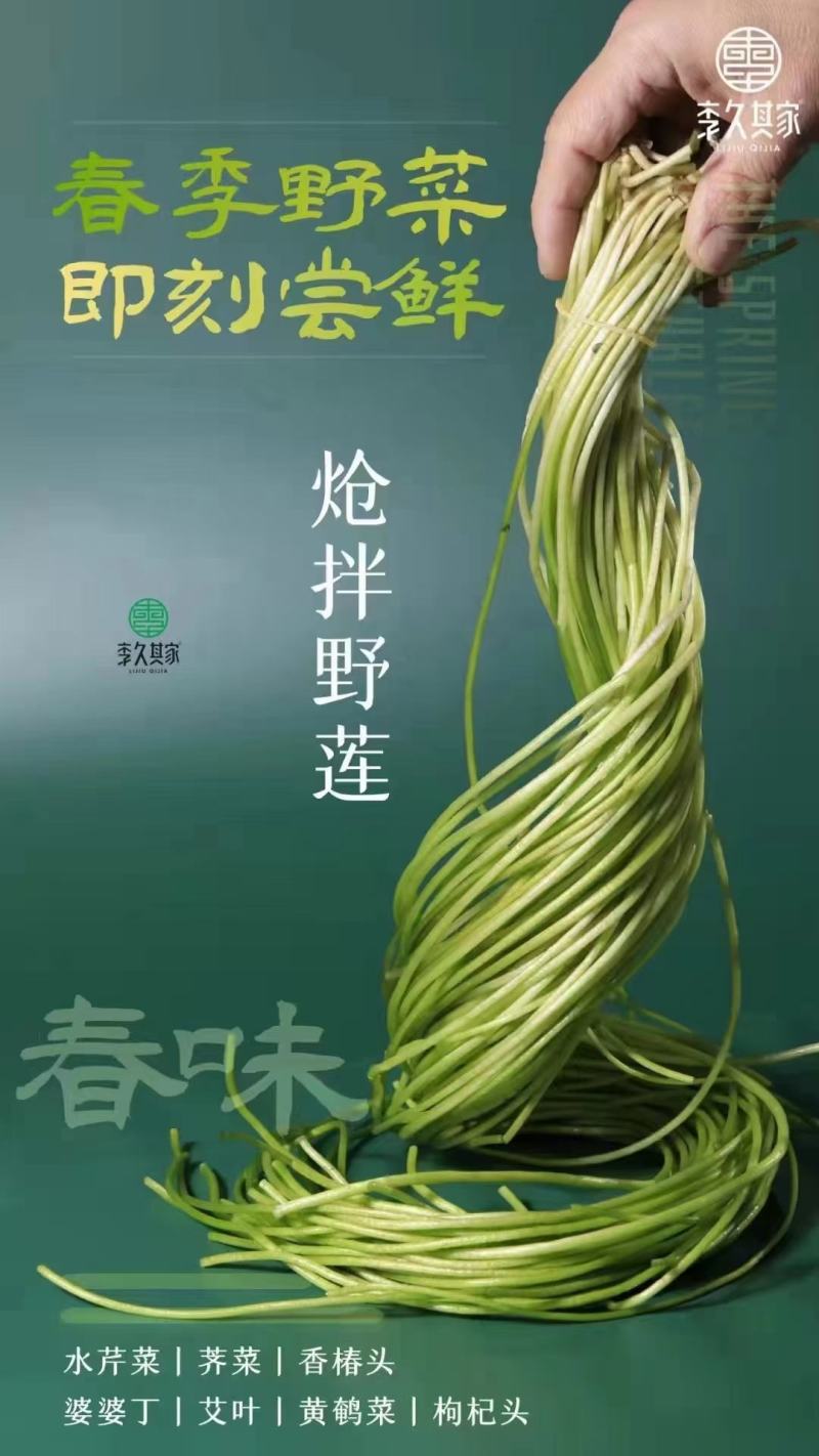 野莲菜