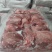 临沂沂百源食品有限公司腱子肉前腱厂家直销