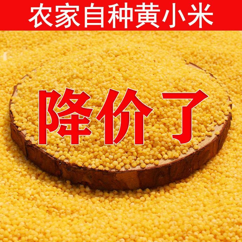 陕西农家新黄小米养胃油糯小米粥五谷杂粮月子米小黄米包邮
