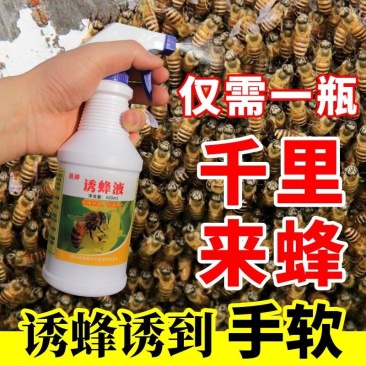 招蜂水诱蜂神奇引蜂水蜜蜂信息素野外诱蜂工具蜂药600ml