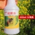 招蜂水诱蜂神奇引蜂水蜜蜂信息素野外诱蜂工具蜂药600ml