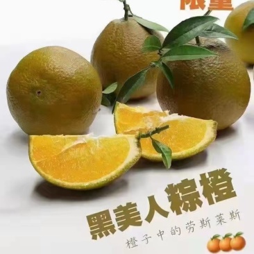 黑美人粽橙