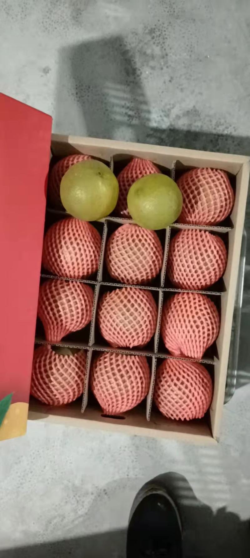 黑美人粽橙