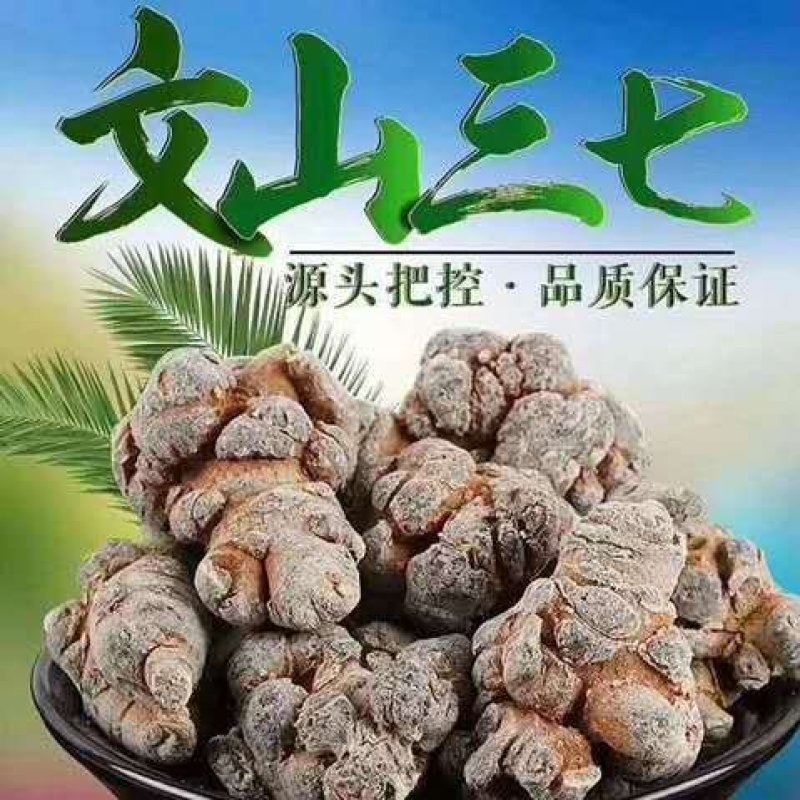 云南文山三七头无剪口三七文山三七田七【需要打粉请备注】