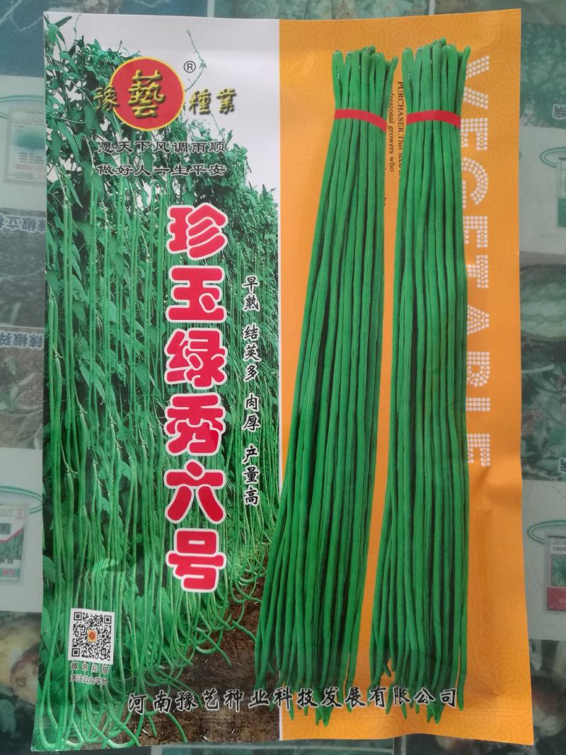 豆角种珍玉绿秀六号豆角种质嫩深绿色不易鼓粒产4000公斤