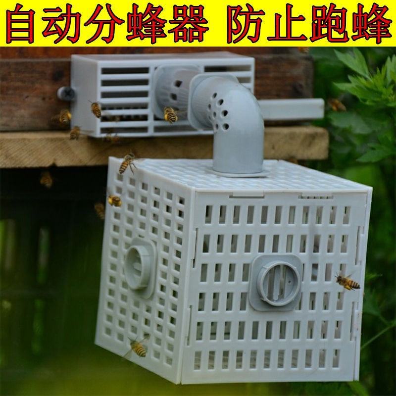自动收王分蜂器中蜂除雄蜂神器导王管隔王片