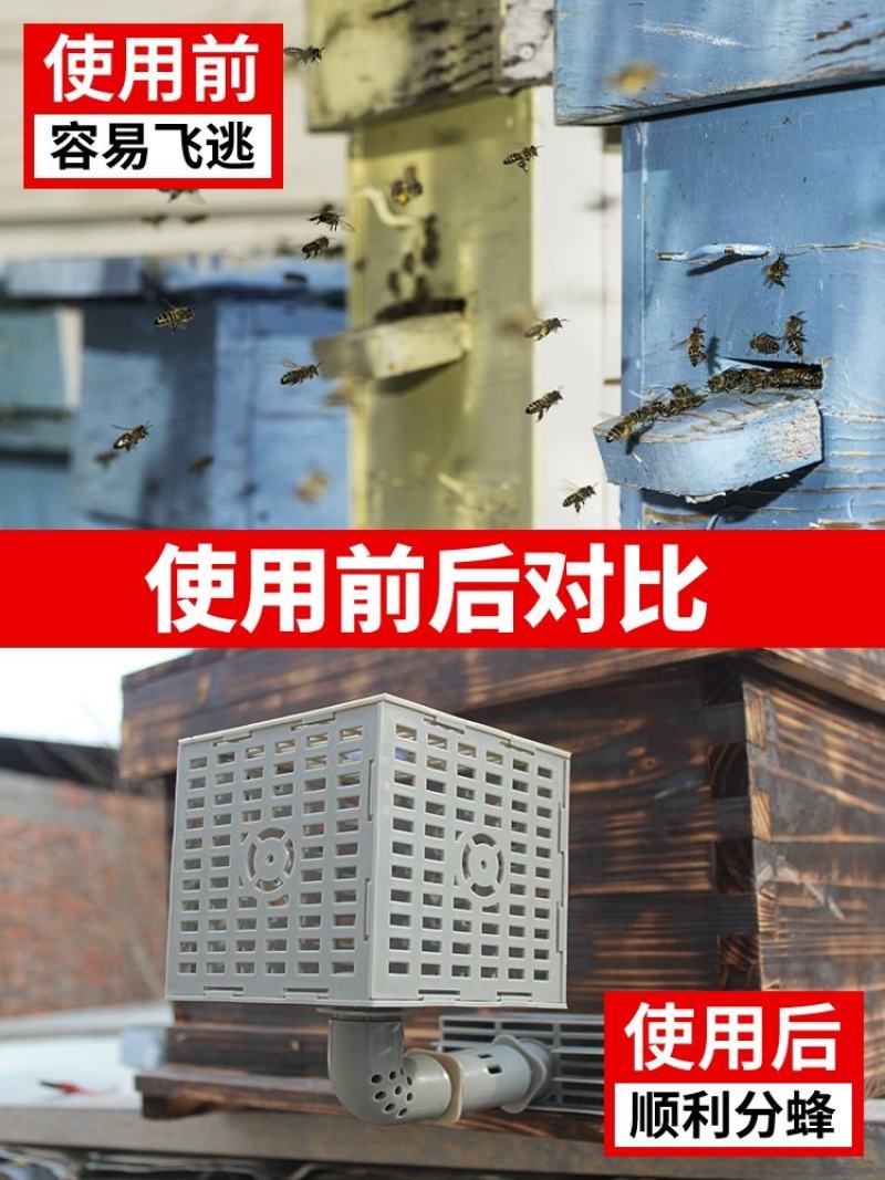 自动收王分蜂器中蜂除雄蜂神器导王管隔王片