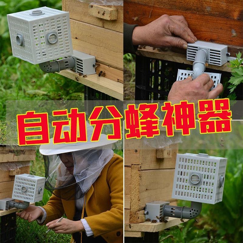 自动收王分蜂器中蜂除雄蜂神器导王管隔王片