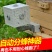 自动收王分蜂器中蜂除雄蜂神器导王管隔王片