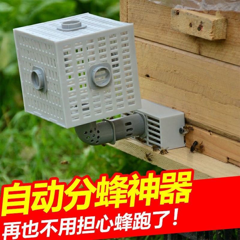 自动收王分蜂器中蜂除雄蜂神器导王管隔王片