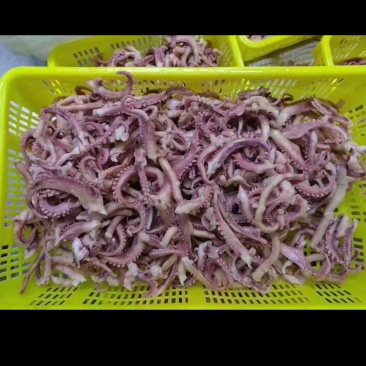 工厂直销销售各种规格的干冰章鱼须