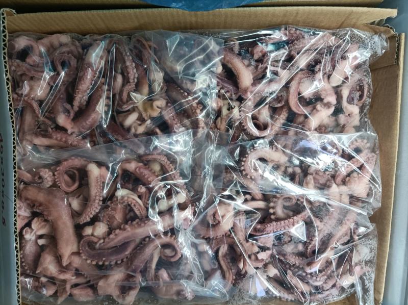 工厂直销销售各种规格的干冰章鱼须