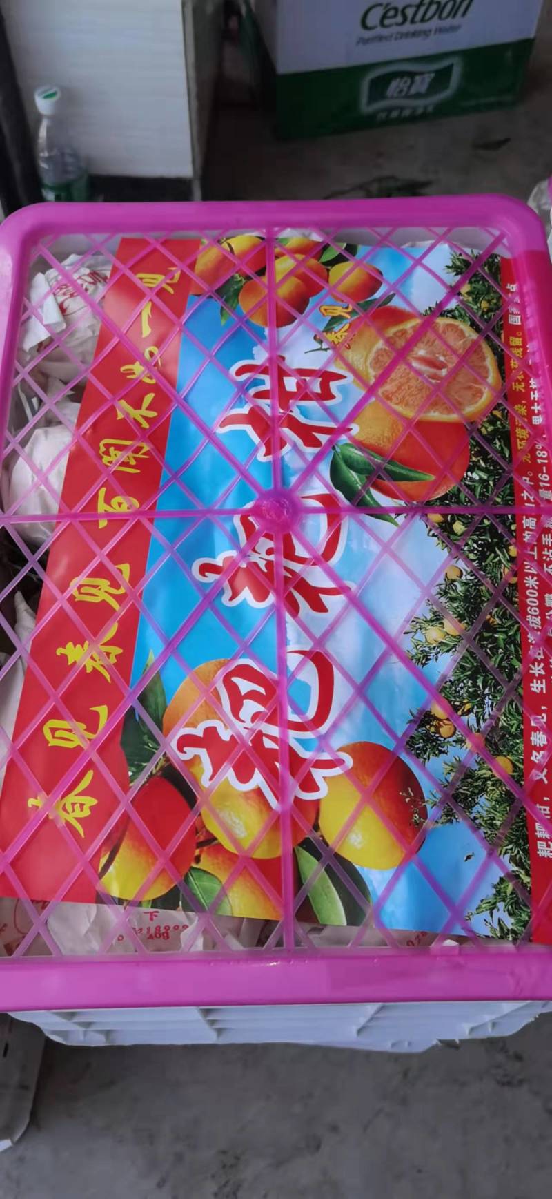 四川春见耙耙柑皮薄多汁个大味甜货源充足产地直发