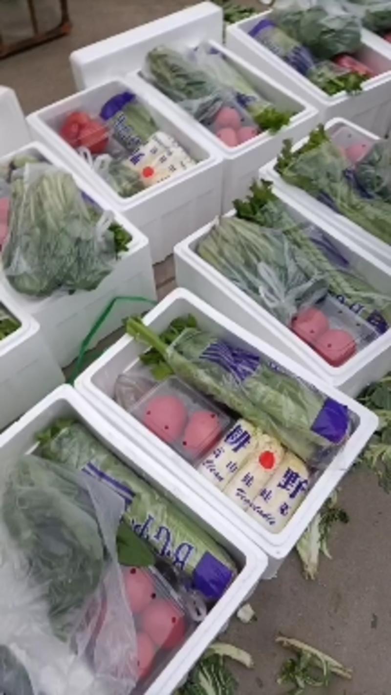 寿光套菜蔬菜组合礼包大棚蔬菜礼盒节庆多种蔬菜组合蔬菜套餐