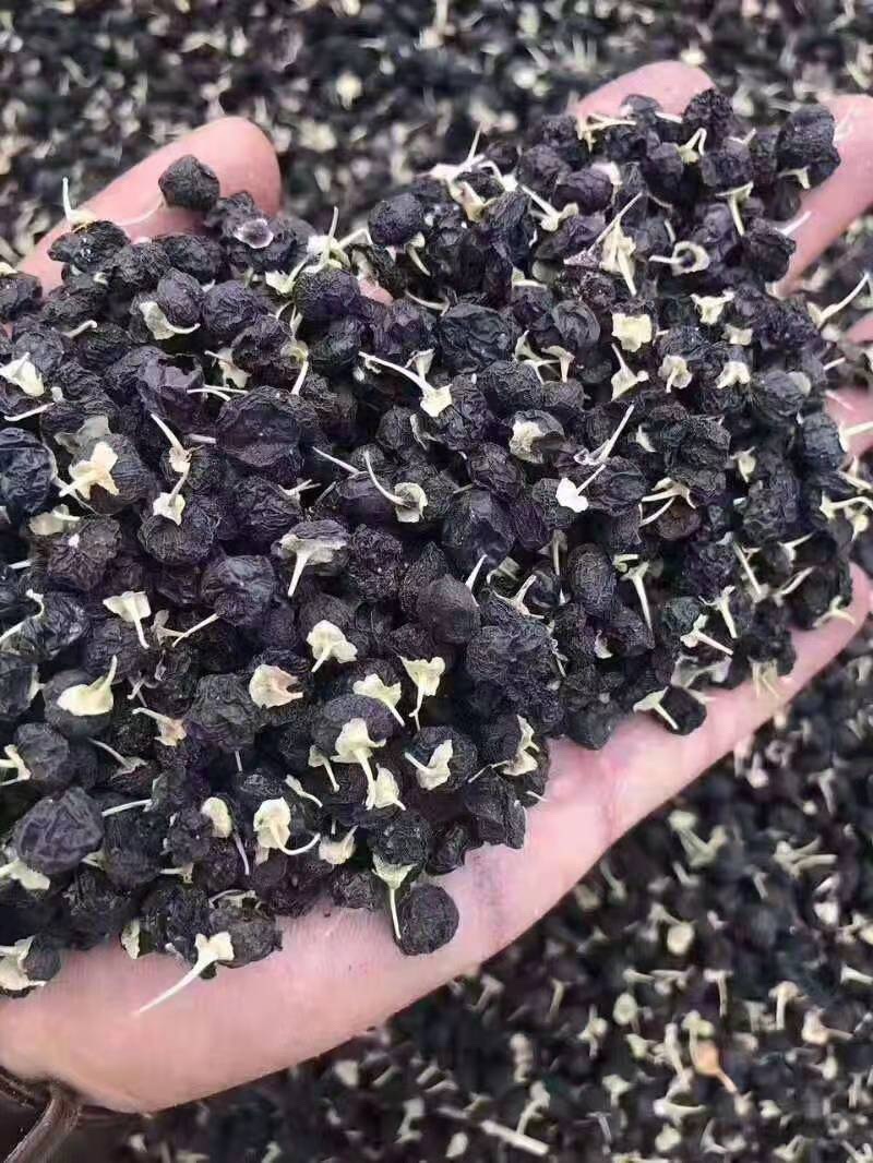 特此推荐瓜州精品黑枸杞，一手货源农户，可代办形式