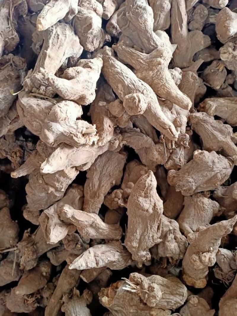 【推荐】白术24个筛子以上强烈推荐欢迎选购