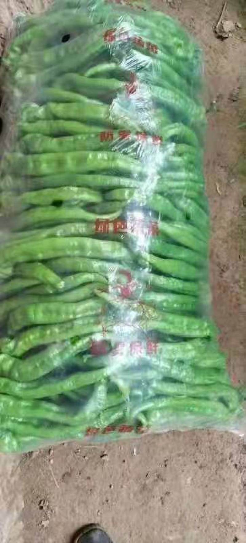精品螺丝椒