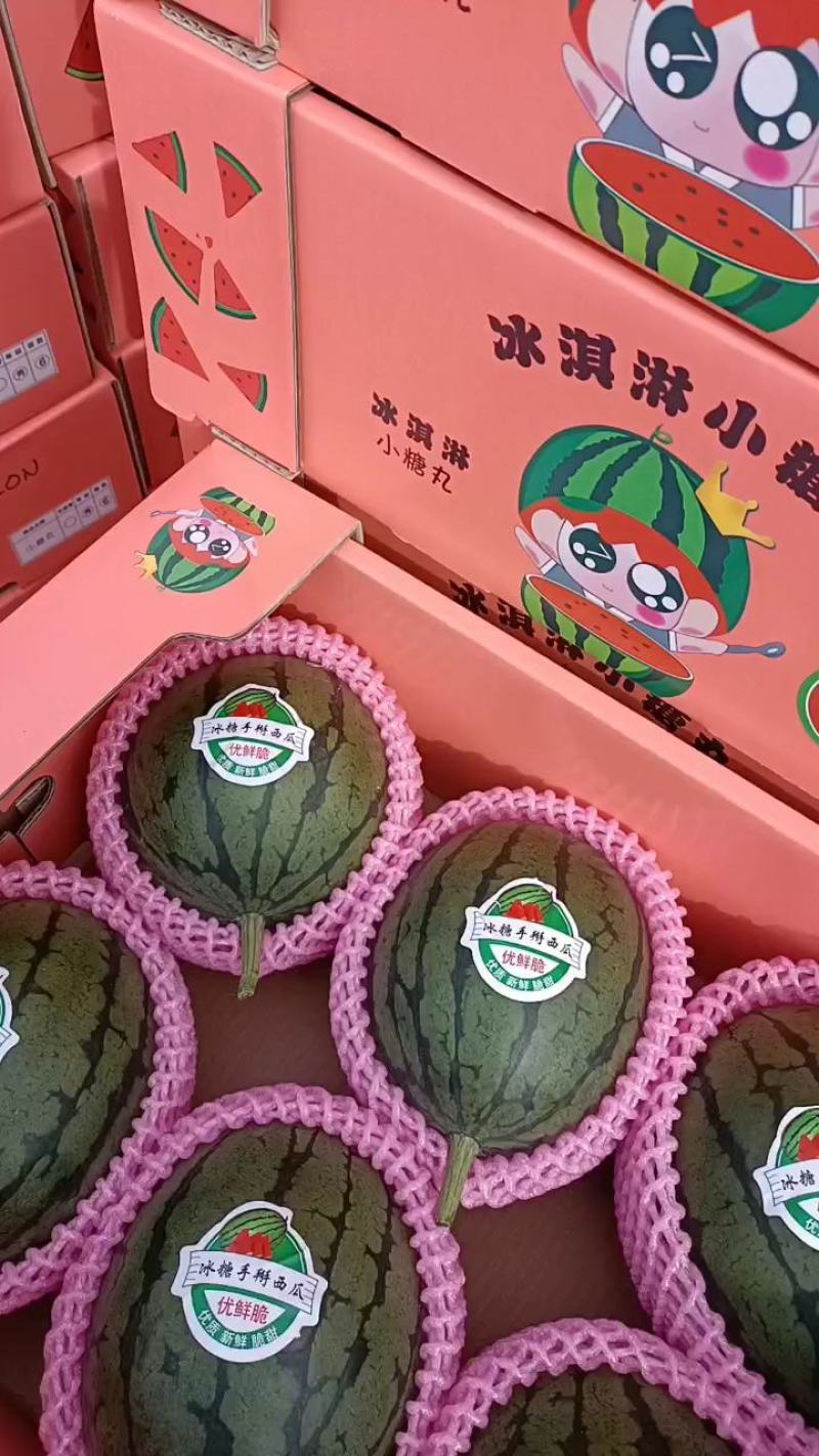 山东潍坊寒亭全美2k小吊瓜，小糖丸，货源充足，保熟保甜