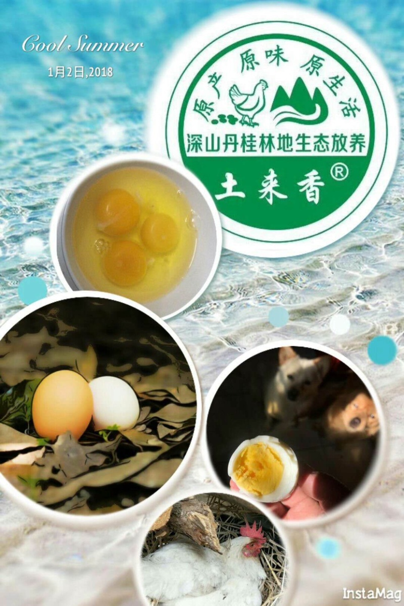 土来香粉蛋