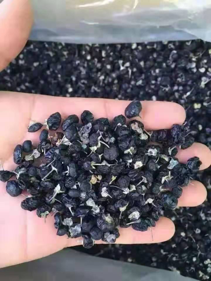 特此推荐瓜州精品黑枸杞，一手货源农户，可代办形式