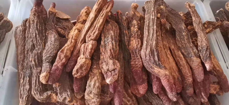 瓜州锁阳城精品锁阳，特此推荐全国各地老板欢迎选购