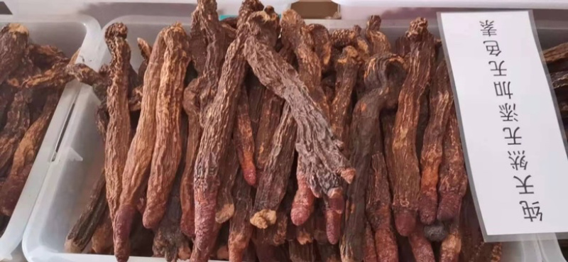 瓜州锁阳城精品锁阳，特此推荐全国各地老板欢迎选购