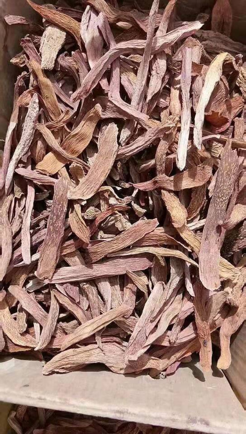 瓜州锁阳城精品锁阳，特此推荐全国各地老板欢迎选购